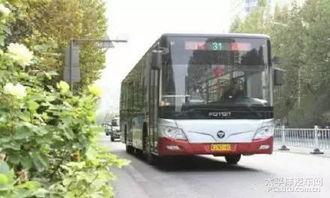 沧州公交车爆料事件最新,事件真相与公众关注的焦点解析  第1张